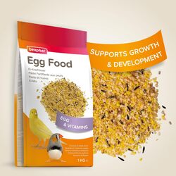 Egg Food for Canaries and Exotic Birds 1 kg