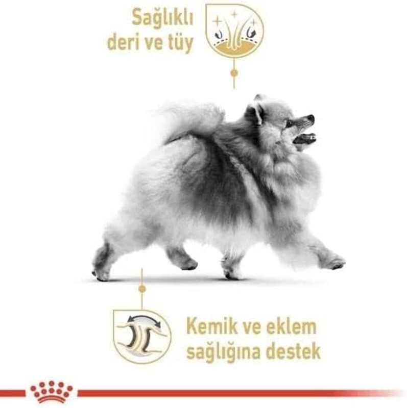 Breed Health Nutrition Pomeranian Adult 1.5 KG