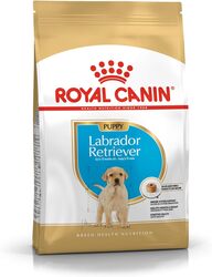 Breed Health Nutrition Labrador Puppy 3 KG