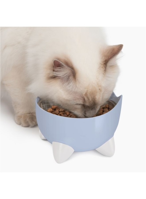 CatIt Pixi Drinking Fountain Combo pack BLue