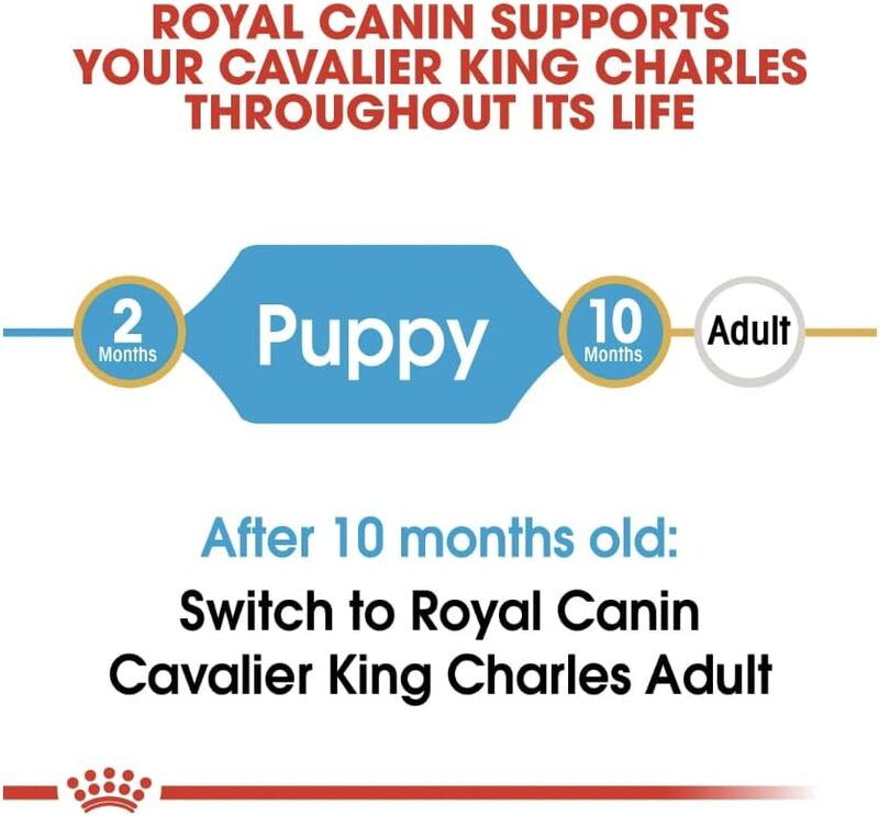 Breed Health Nutrition Cavalier King Charles Puppy 1.5 KG