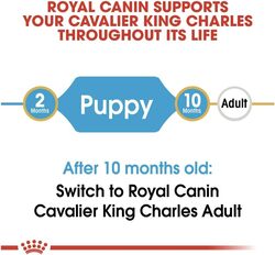 Breed Health Nutrition Cavalier King Charles Puppy 1.5 KG