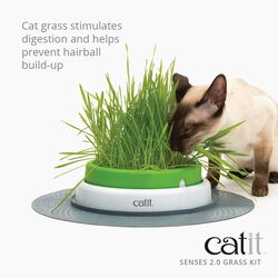 طقم العشب للقطط من كاتيت مكون من 3 قطع
