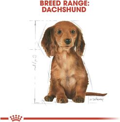 Breed Health Nutrition Dachshund Puppy 1.5 KG