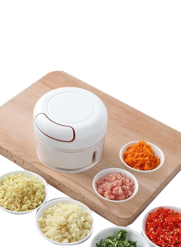 

ZeeSquare Manual Vegetable Chopper Tool for Onion, Garlic, Chili, Meat & Spices, White/Clear