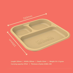 Chuk 25-Piece Sugarcane Bagasse 3 Compartmental Disposable Plates, Brown