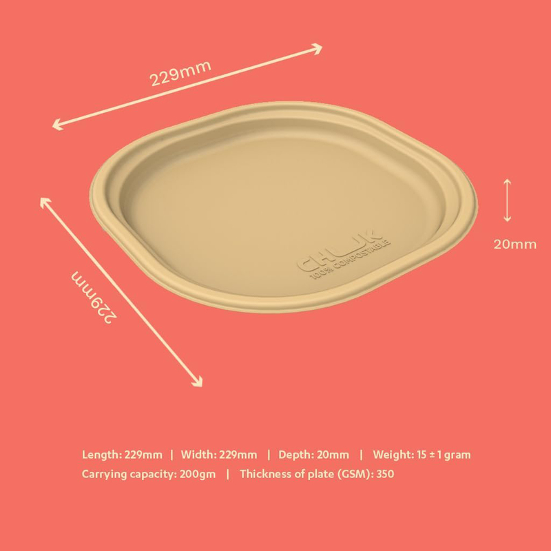 Chuk 25-Piece 9-inch Sugarcane Bagasse Disposable Meal Plates, Brown