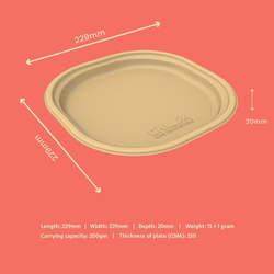 Chuk 25-Piece 9-inch Sugarcane Bagasse Disposable Meal Plates, Brown