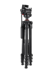 Gennext Elite Tripod with Carrying Case Extendable to 53" Quick Release, Black