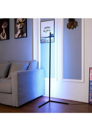 Gennext Smart Ambient Background Colour Changing LED RGB Floor Lamp, Black