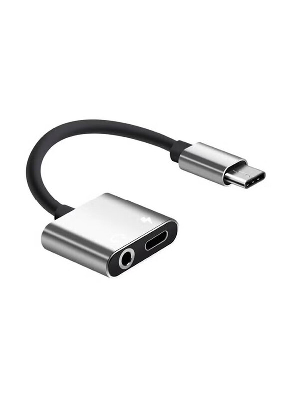 

Go-Des One Size USB Type-C and Headphone Jack Cable Adapter Charger, USB Type-C Male to Multiple Types for Audio Devices, Black/Grey