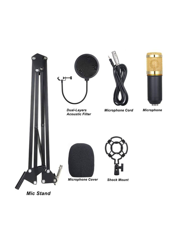 Gennext Suspension Live Sound Card & BM800 Suspension Microphone Kit, Black