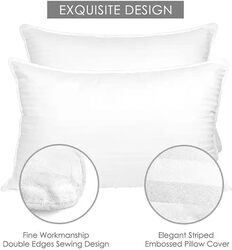 Cushion Pillow Insert Filling 2Pcs Set,65Gsm Microfiber Side Sleeping Bed Pillow for Side Back Stomach Sleepers