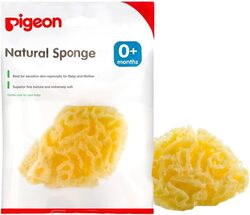 Pigeon Natural Sponge, Large