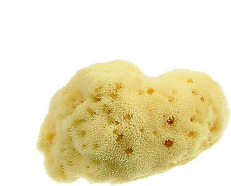 

Beautytime Natural Sea Sponge, Small