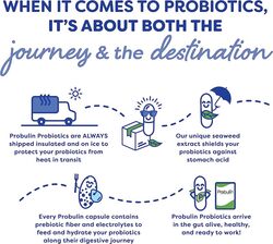 Probulin Daily Care Probiotic Capsules, 30 Capsules