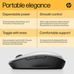 HP 300 Dual Mode Wireless Optical Mouse, Silver