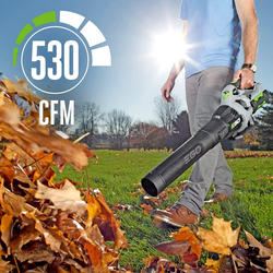 Ego Power+ 3-Speed Turbo Lithium-Ion Cordless Electric Blower, LB4800, Black