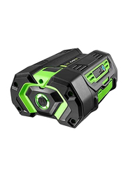 Ego Power+ Lithium-Ion Standard Charger, BA2800T, Black/Green