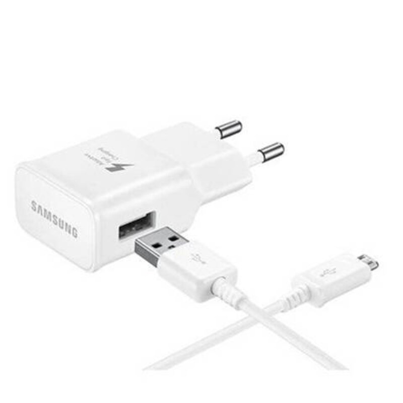 2 Pin Fast Travel Adapter & Cable for Samsung Devices, White