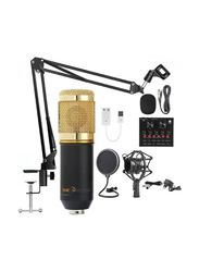 Condenser Microphone with Shock Mount, Gold/Black