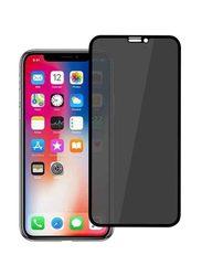 Apple iPhone X Privacy Protective Glass Screen Protector, Transparent