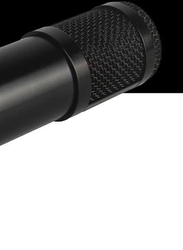 Multi-functional Live Sound Card BM800 Microphone Set Audio Recording Equipment's, I7765-5-T, Multicolour