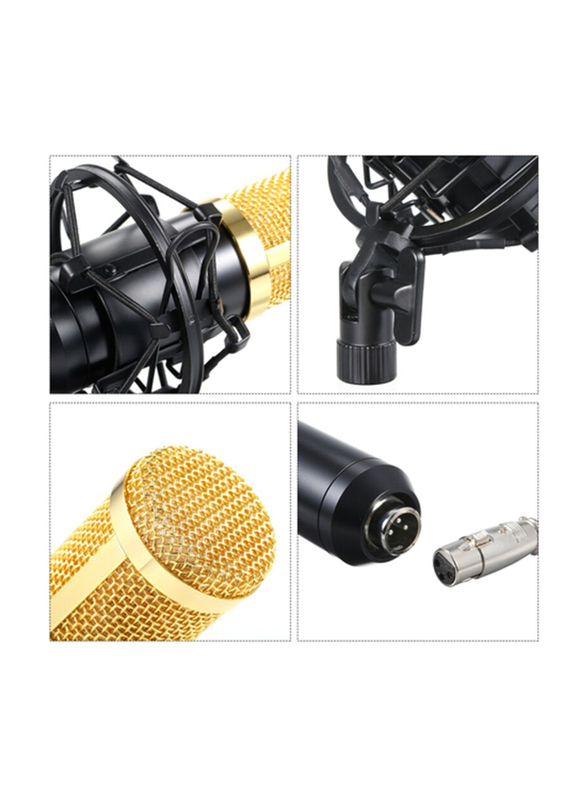 Condenser Microphone Lit Pro Audio Studio Recording & Brocasting Adjustable Mic Suspension Scissor Arm Pop Filter, BM800, Black