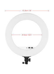 Andoer LED Video Ring Light, White