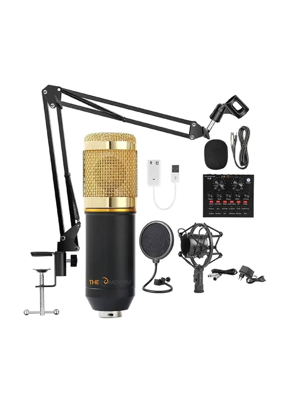 

Generic Condenser Microphone with Shock Mount, Black/Gold