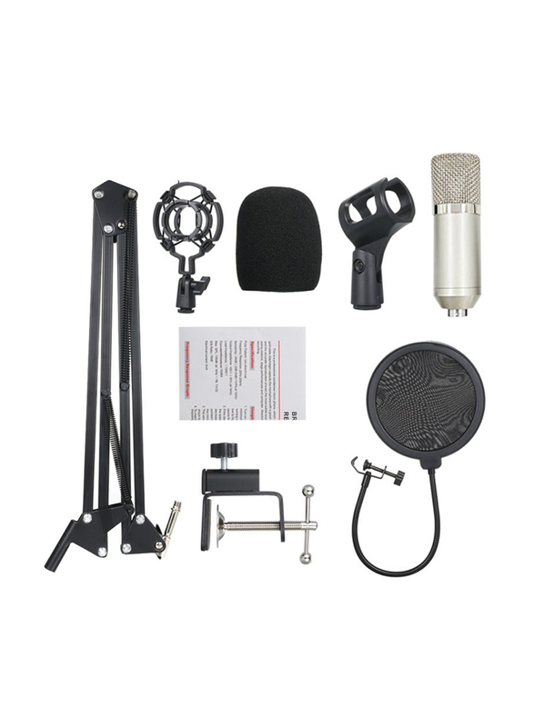 BM700 Professional KTV Singing Studio Recording Condenser Microphone Kit, LU-V5-170, Silver/Black