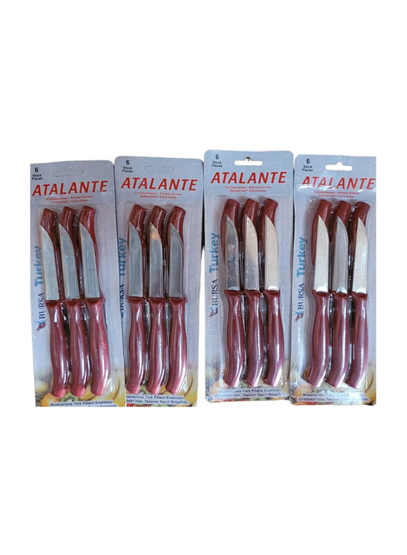 

Generic 24-Piece Stainless Steel Fruit Knife Set, Red/Silver