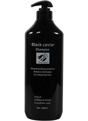 Beauty legend Black caviar shampoo 800ml