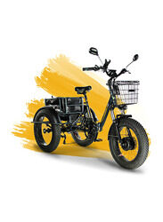E-Motions Panda Adult Electric Bicycle, Black