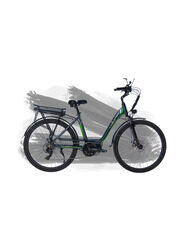 E-Motions Elegance Adult Electric Bicycle, Asphalt Grey