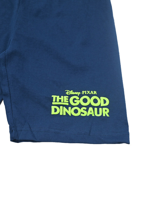 The Good Dinosaur - Boys  Shorts