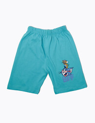 Tom & Jerry - Boys Short Sleeve Tshirt & Short Set