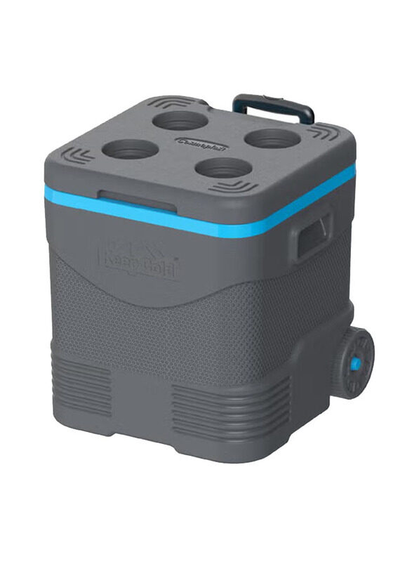 

Cosmoplast 45 Ltr Keep Cold Trolley Icebox With Wheels, Blue