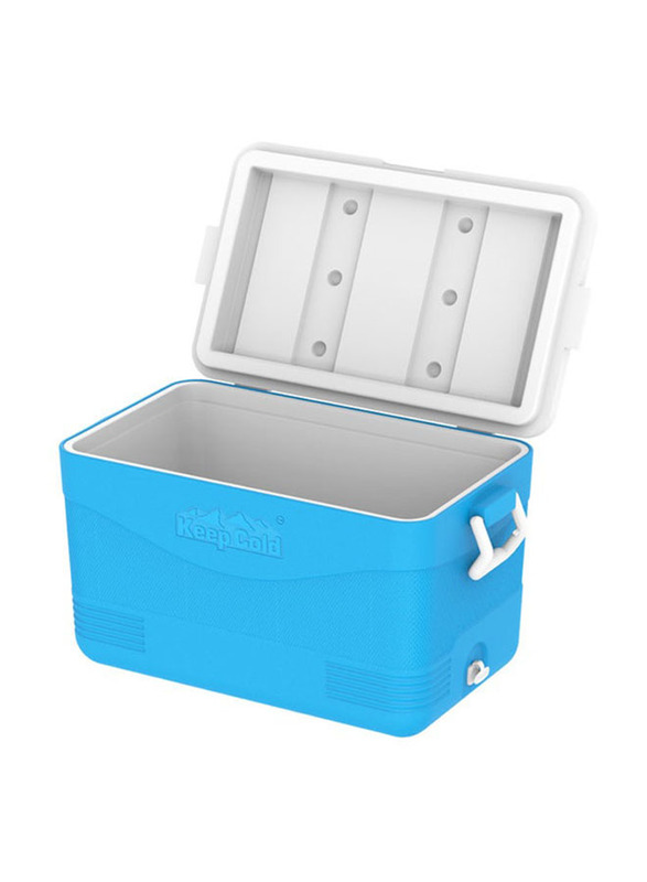 Cosmoplast 60 Ltr Keepcold Picnic Icebox, Blue