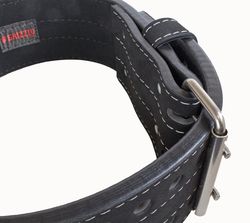 Grizzly Fitness Double Prong Power Lifting Weight Belt, Large, 8472-04-BLK, Black