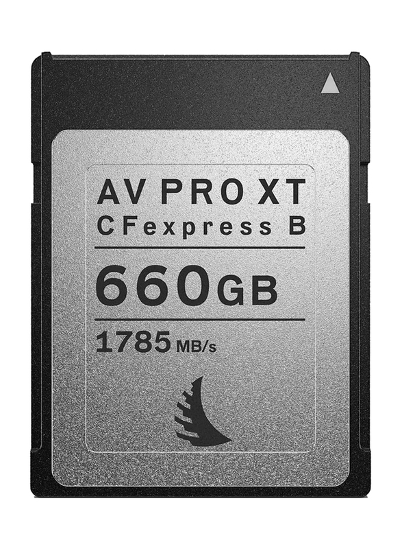 Angelbird 660 GB AV Pro CFexpress XT MK2 Type B Memory Card, Grey