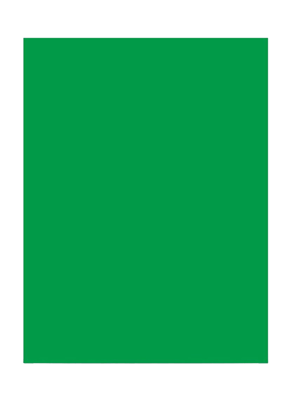 Visico Paper Background, 2.75 x 10 Meter, Green