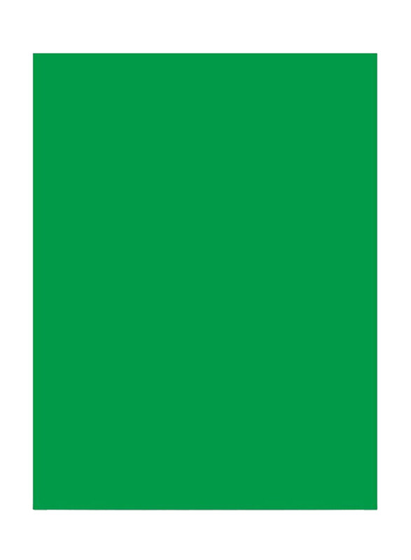 Visico Paper Background, 2.75 x 10 Meter, Green