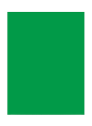 Visico Paper Background, 2.75 x 10 Meter, Green