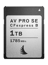 Angelbird 1TB AV Pro CFexpress SE Type B Memory Card, Grey