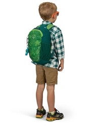 Osprey Daylite Backpack Bag for Kids, One Size, Leafy Green