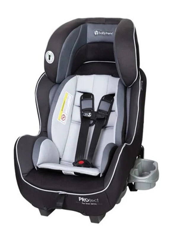 

Baby Trend Reis + PROtect Sport + Hi-Lite Set Convertible Car Seat, Arctic Silver Mystic Black