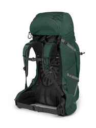Osprey L/XL Aether Plus 70 Backpack, Dark Green