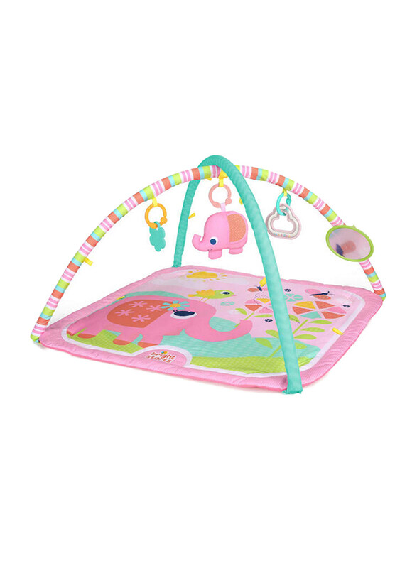 

Bright Starts Fanciful Flowers Activity Gym