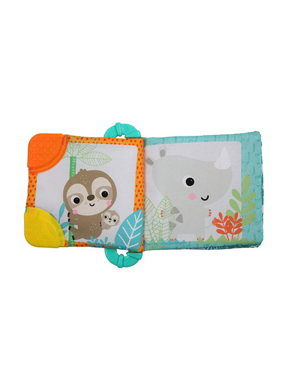 

Bright Starts Teethe & Read Toy, Multicolour